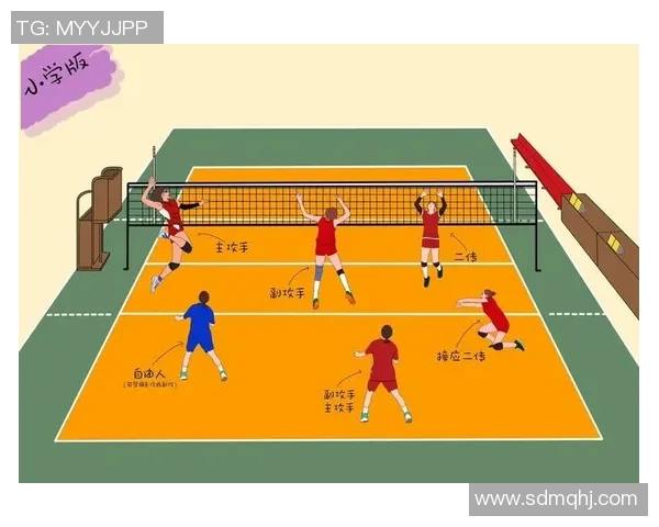 上海排球队在冠军赛中的灵活战术与团队配合分析