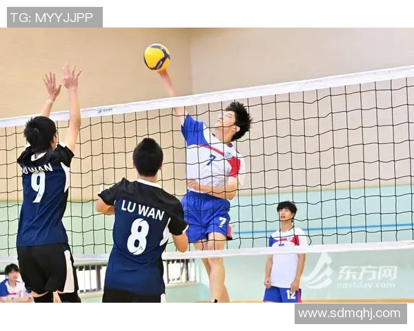 上海排球队转型之路：从传统强队到现代竞技新标杆的全景探索