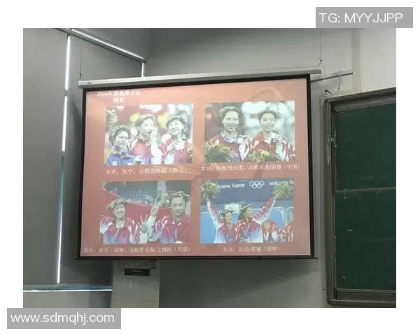 杭州羽毛球队技术表现深度分析与数据解读探讨