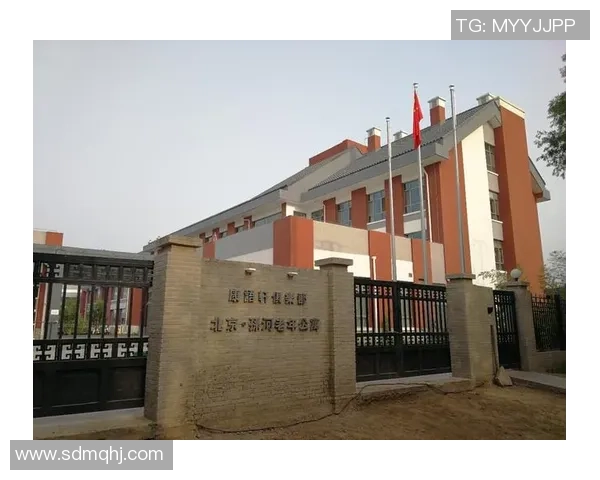 武汉篮球队在钻石联赛中的拼搏历程与荣耀时刻全景回顾